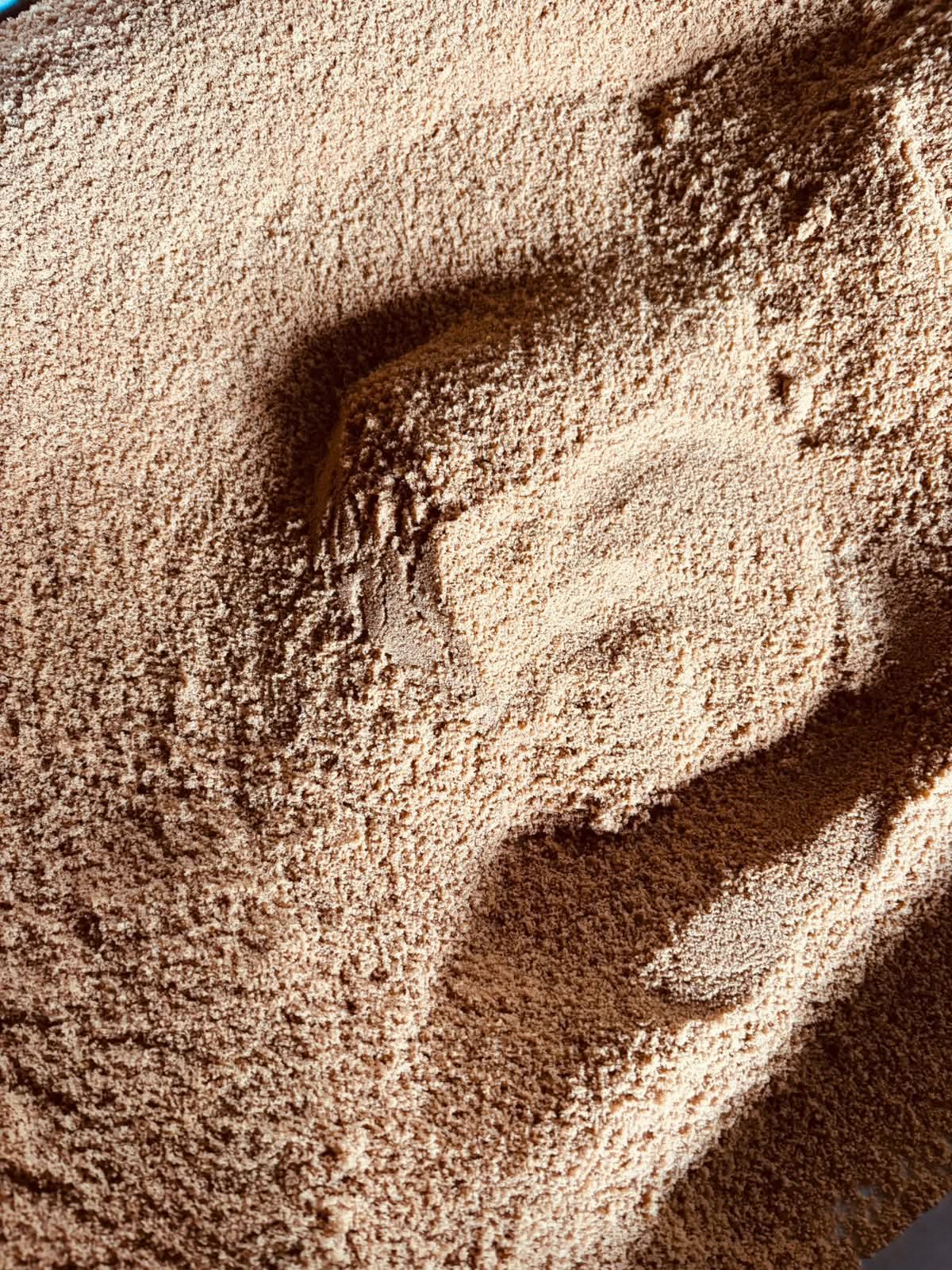 Indonesian Coconut Sugar Close Up