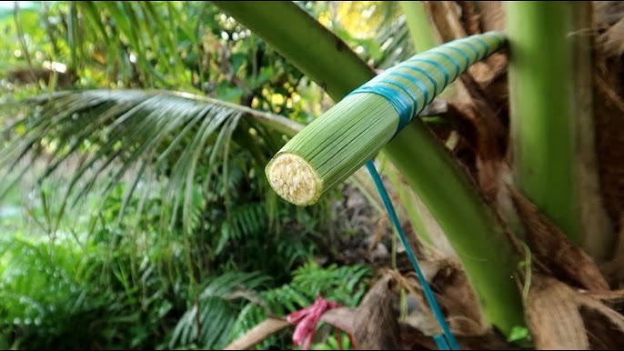 Indonesian Coconut Sugar Product
